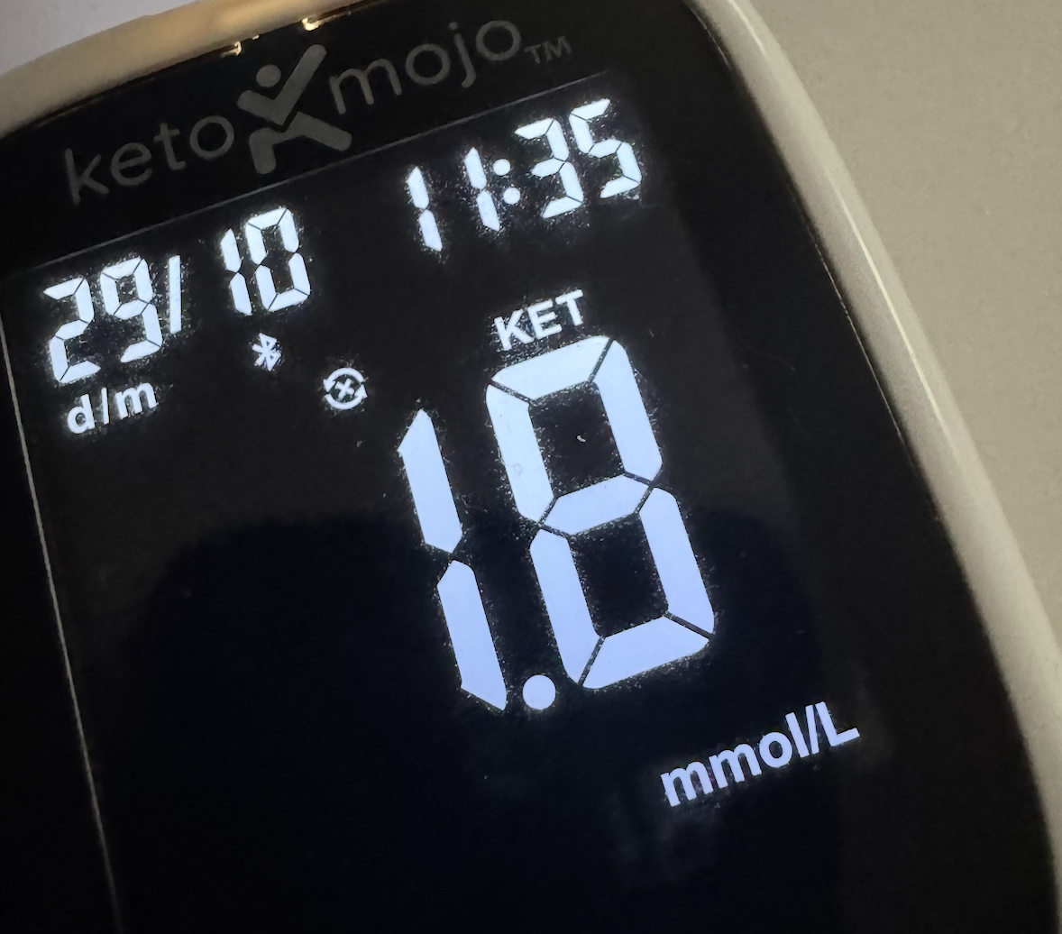 Jour 7 – Cétose installée