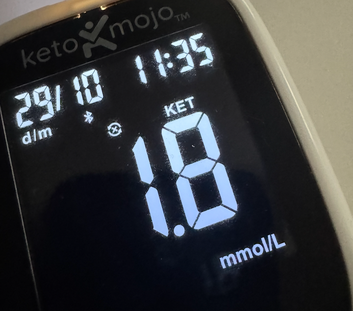 Jour 7 – Cétose installée